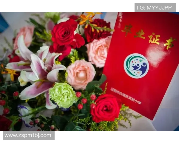 与王芳畅谈CSGO职业生涯的点滴与成长之路实时数据