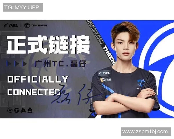 陈磊谈和平精英成功秘诀揭秘背后的策略与创新思维实时新闻