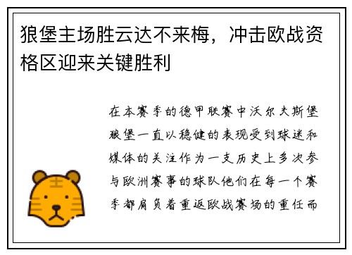 狼堡主场胜云达不来梅，冲击欧战资格区迎来关键胜利